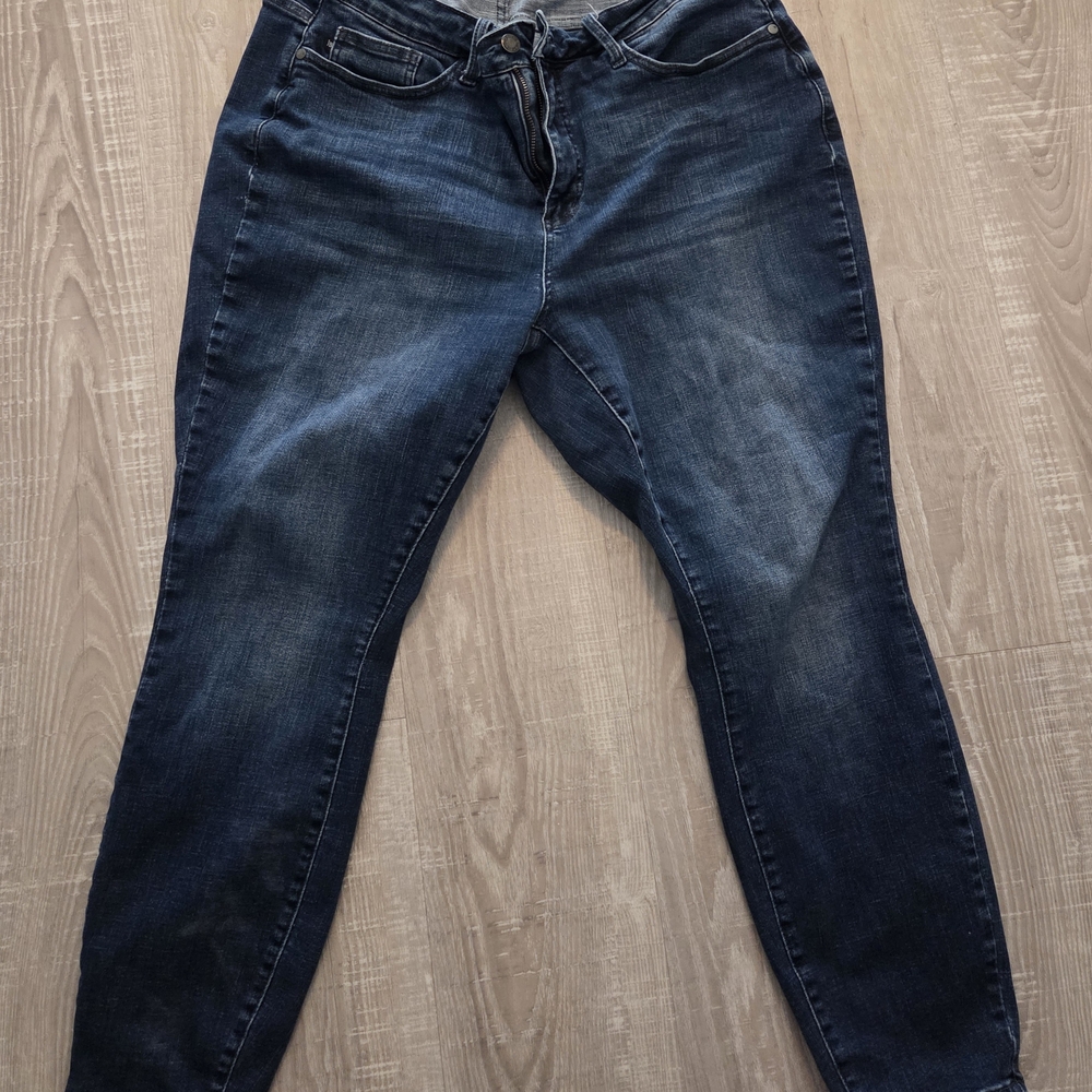 Judy Blue 18W Skinny Jeans